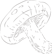 キノコイラスト