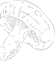 キノコイラスト