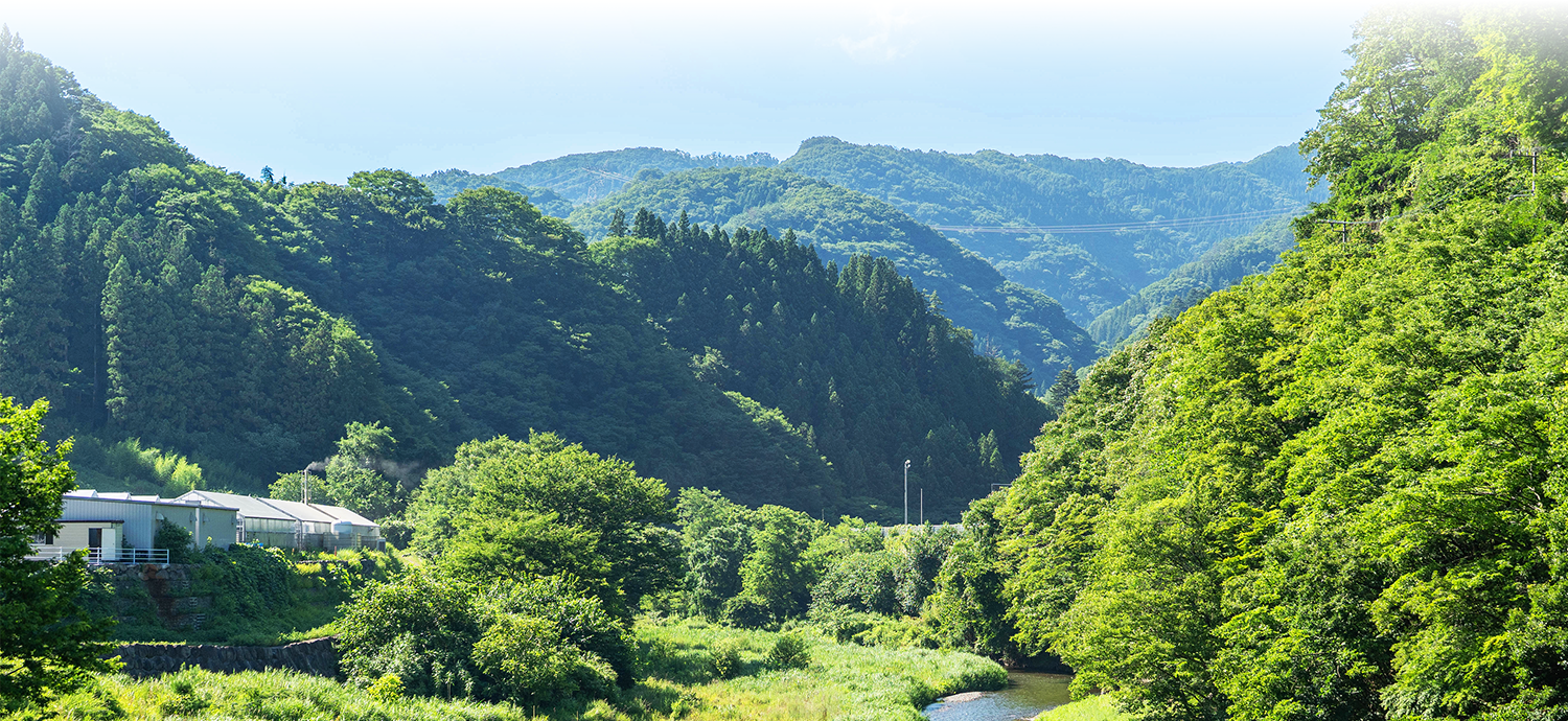オンラインショップはこちら